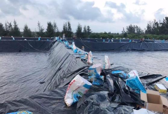 购买重庆土工膜之前咨询应该注意什么